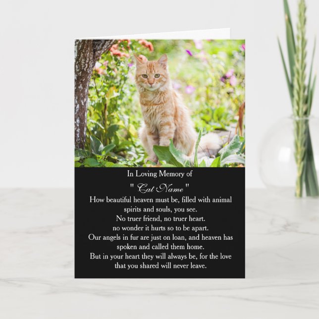 Cat Sympathy Card Personalized photo Pet Memorial Kort (Framsida)