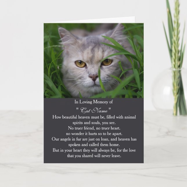 Cat Sympathy Card Personalized photo Pet Memorial Kort (Framsida)