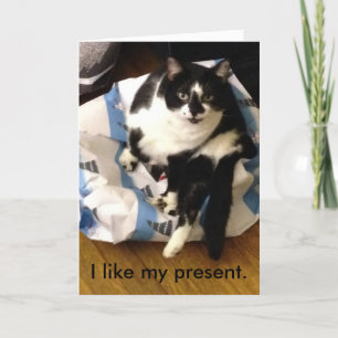 Cat Tack för mina Julklapp-kort Kort