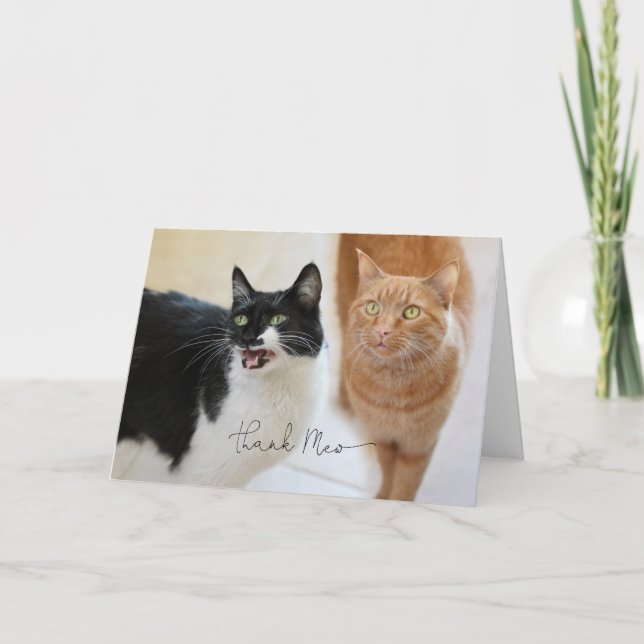 Cat-tackkort Kort (Framsida)