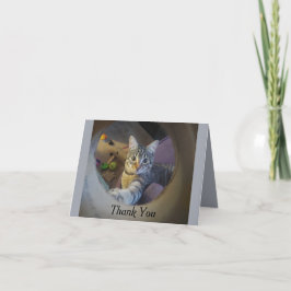 Cat-tackkort Tack Kort