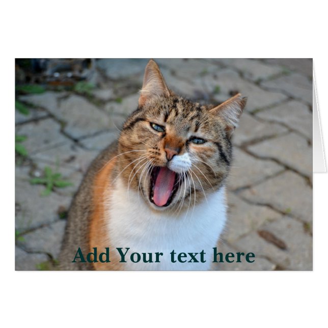 Cat Talking Hälsningskort (Framsidan Horizontal)