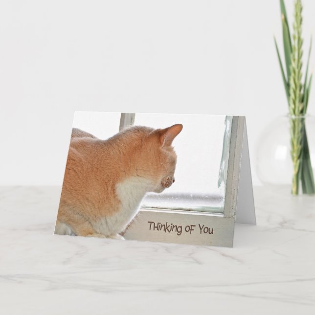Cat tänker på dig kort (Framsida)