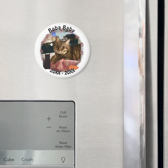 Cat Tass avtryck Photo Magnet (In Situ (Fridge))
