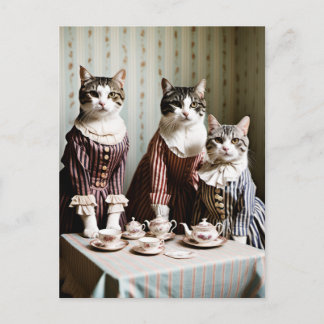 Cat Tea Party Vykort