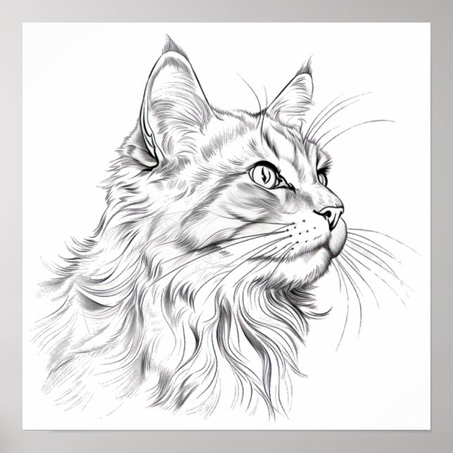 Cat teckning poster (Framsidan)