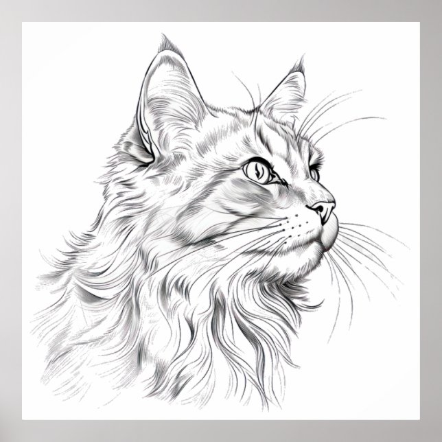 Cat teckning poster (Framsidan)