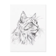 Cat teckning
