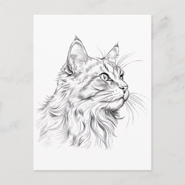 Cat teckning vykort (Framsida)