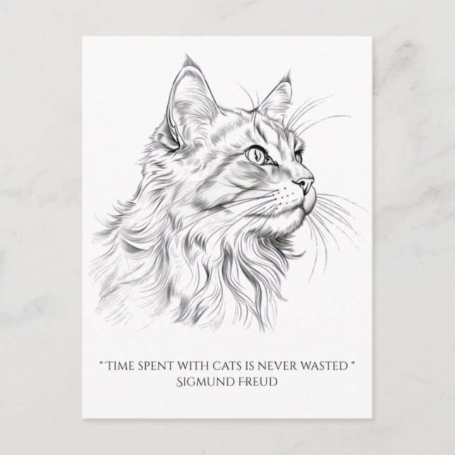 Cat teckning vykort (Framsida)