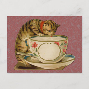 Cat Tekopp Cute Cute Vintage Victorian Vykort