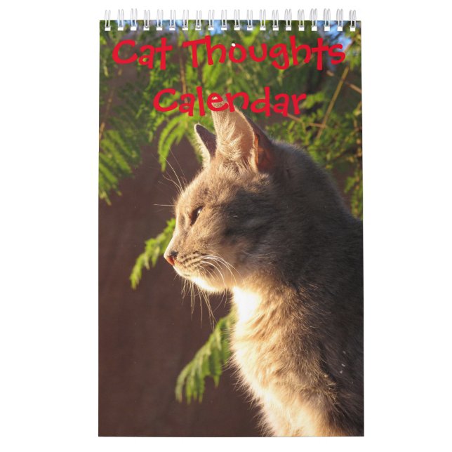 Cat Thoughts Kalender (Omslag)