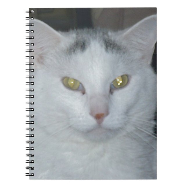 Cat Thoughts White Cat Anteckningsbok (Framsidan)