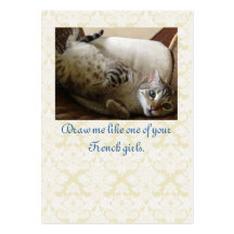 Cat Titanic Quote Brocade Gift Märkre