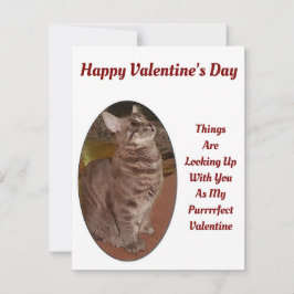 Cat Tittar upp Digital Bild Valentine Quote Anteckningskort