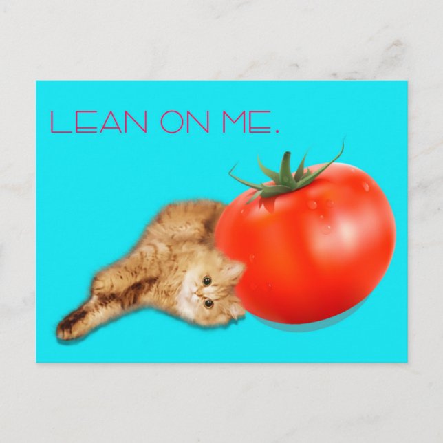 Cat & Tomato Postcard /　猫＆トマト　ポストカード Vykort (Framsida)