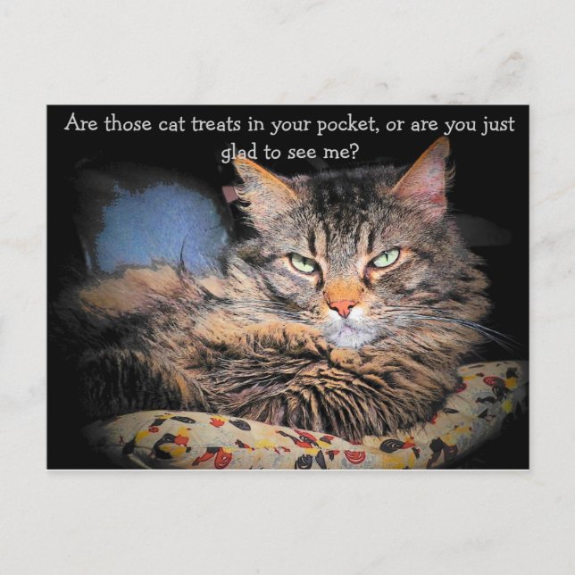 Cat Treats? eller... Vykort (Framsida)