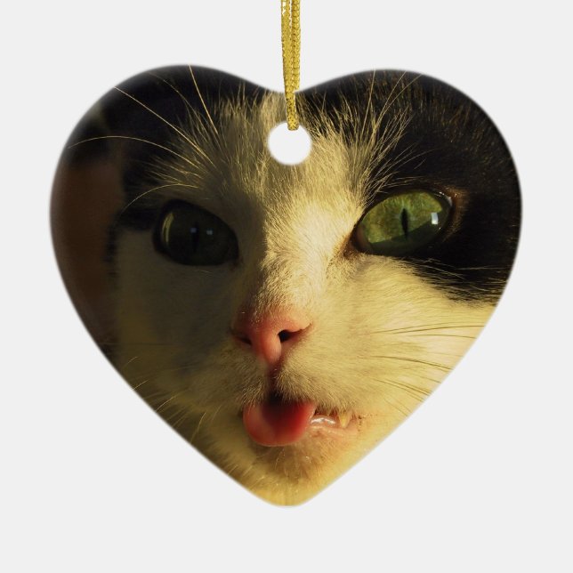 Cat Tunga Julgransprydnad Keramik (Framsidan)