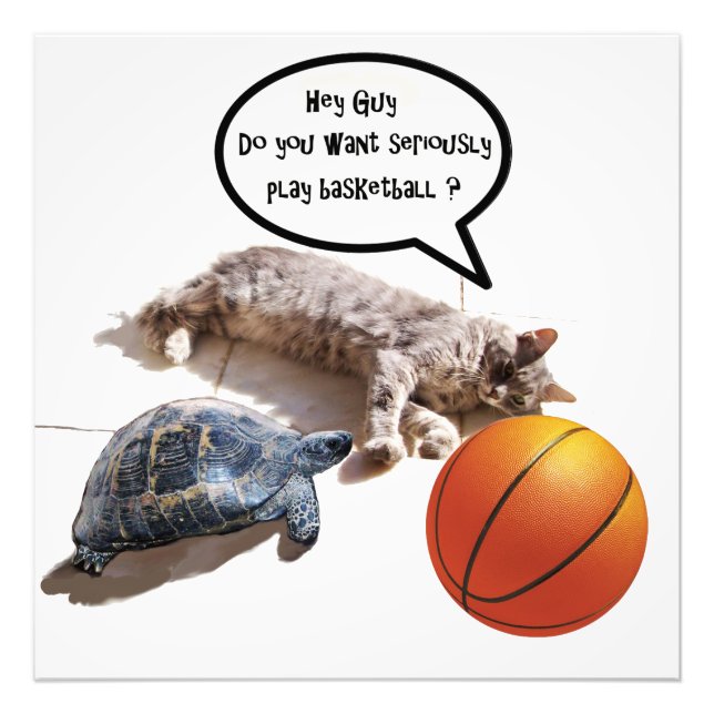 CAT, TURTLE OCH BASKETBALL FOTOTRYCK (Framsidan)