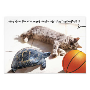 CAT, TURTLE OCH BASKETBALL FOTOTRYCK