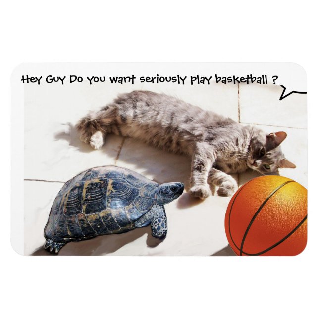 CAT, TURTLE OCH BASKETBALL MAGNET (Horisontell)