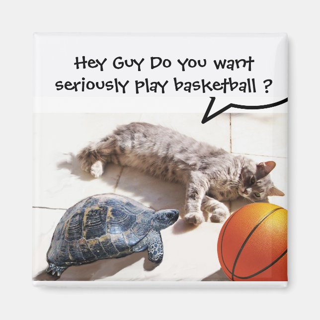 CAT, TURTLE OCH BASKETBALL MAGNET (Framsidan)