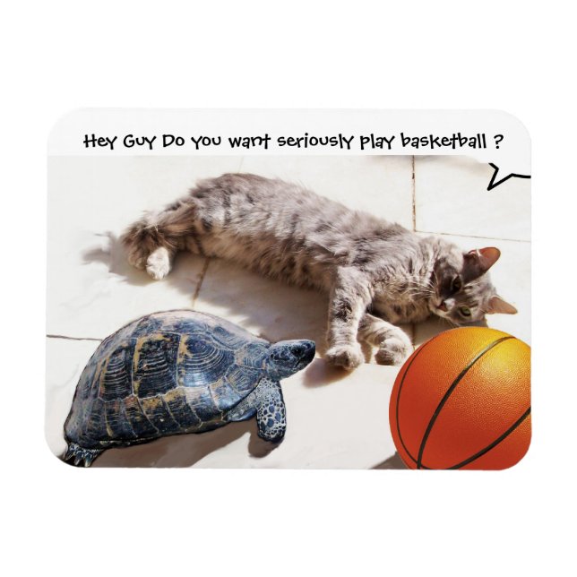 CAT, TURTLE OCH BASKETBALL MAGNET (Horisontell)