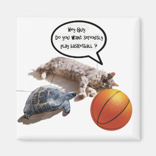 CAT, TURTLE OCH BASKETBALL MAGNET