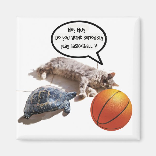 CAT, TURTLE OCH BASKETBALL MAGNET (Framsidan)