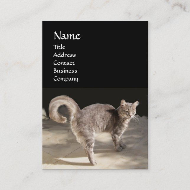 CAT, TURTLE OCH BASKETBALL VISITKORT (Framsida)