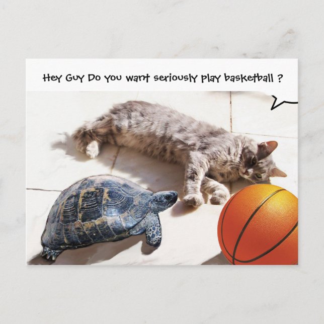 CAT, TURTLE OCH BASKETBALL VYKORT (Framsida)