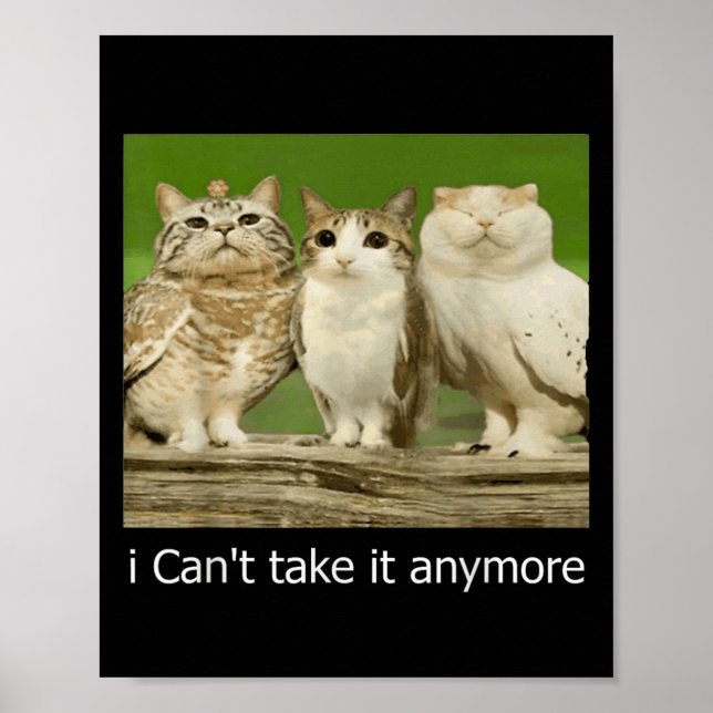 Cat Uggla, lustigt Meow jag kan inte ta det längre Poster (Framsidan)