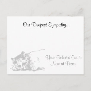 Cat Veterinarian Sympathy Vykort