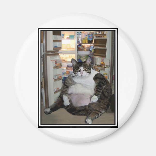 CAT VID FRIDGE MAGNET (Framsidan)