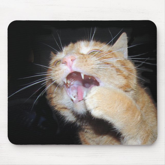 Cat vill ha musen musmatta (Framsidan)
