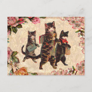 Cat Vintage Söt Antique Kittens Vykort