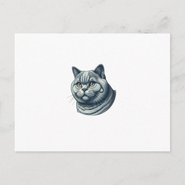 cat vintage vykort (Framsida)