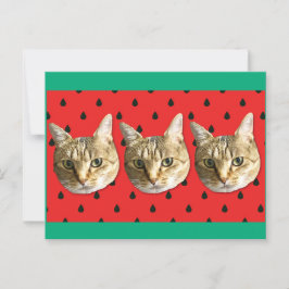 cat vykort
