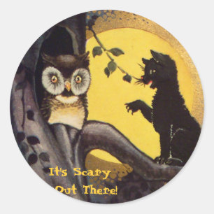 Cat Warning Uggla Halloween Stickers Runt Klistermärke