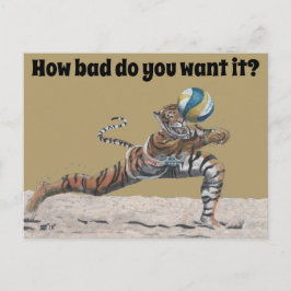 Cat Warrior Beach Volleyball Fantasy Art Postcard Vykort