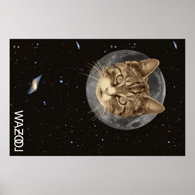 Cat Wazool Poster (Framsidan)