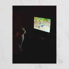 Cat Who Loves His Screentime Postcard Vykort