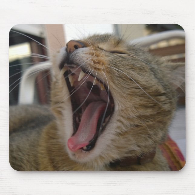 Cat yawn musmatta (Framsidan)