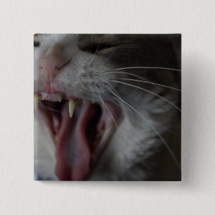 Cat Yawning Knapp