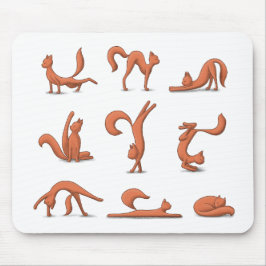 Cat Yoga Musmatta