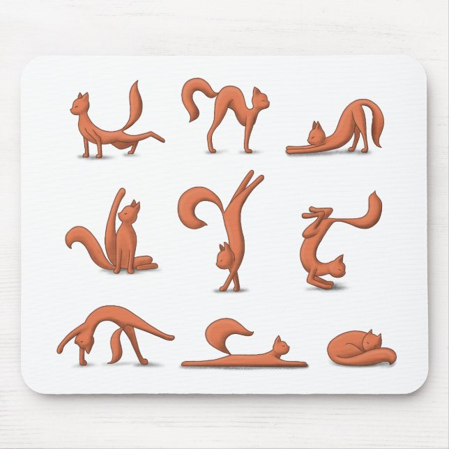 Cat Yoga Musmatta (Framsidan)