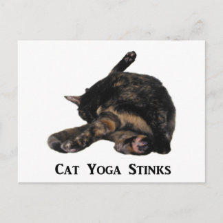Cat Yoga Stinks Vykort