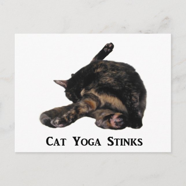Cat Yoga Stinks Vykort (Framsida)