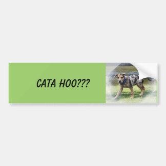 CATA HOO??? BILDEKAL
