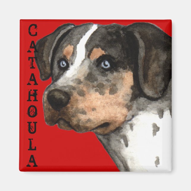Catahoula Färg Block Magnet (Framsidan)